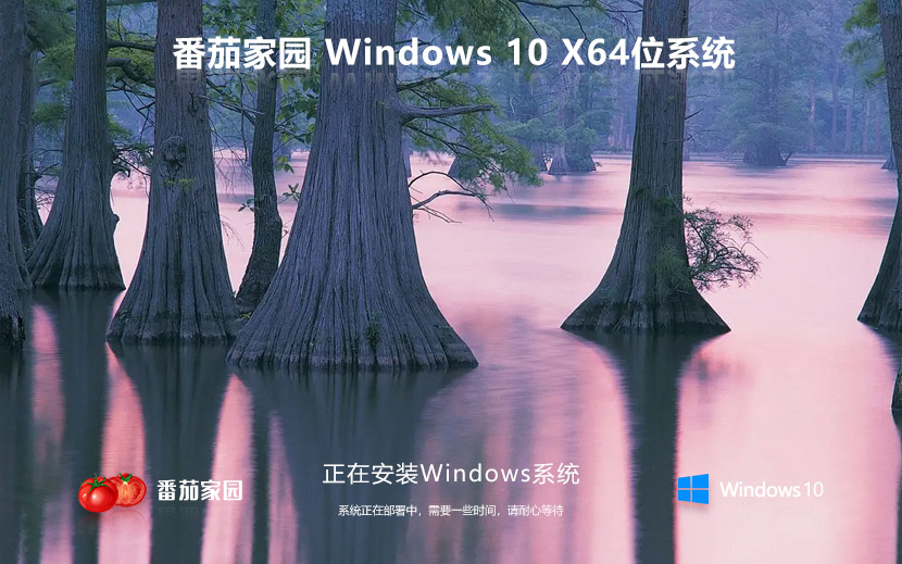 番茄花園windows10穩(wěn)定版系統 ghost鏡像 iso for win10 v2023 下載