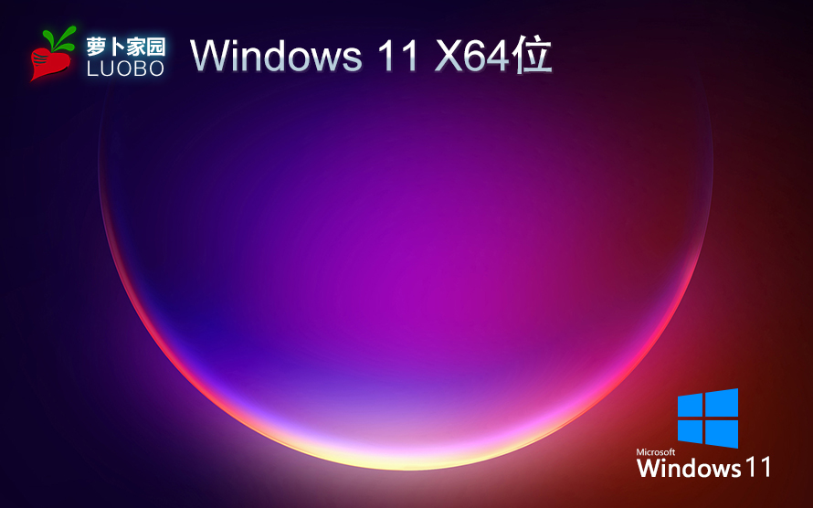 蘿卜家園WIN11專(zhuān)業(yè)版下載 X64位正式版 V2023系統(tǒng)下載