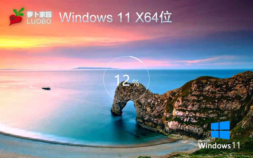 windows11下載 蘿卜家園win11專業(yè)版 X64位 V2023官網(wǎng)下載