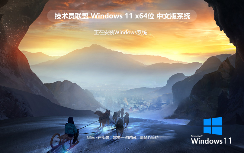 技術(shù)員聯(lián)盟windows11專業(yè)版 永久免費(fèi) X64位 V2022.07下載