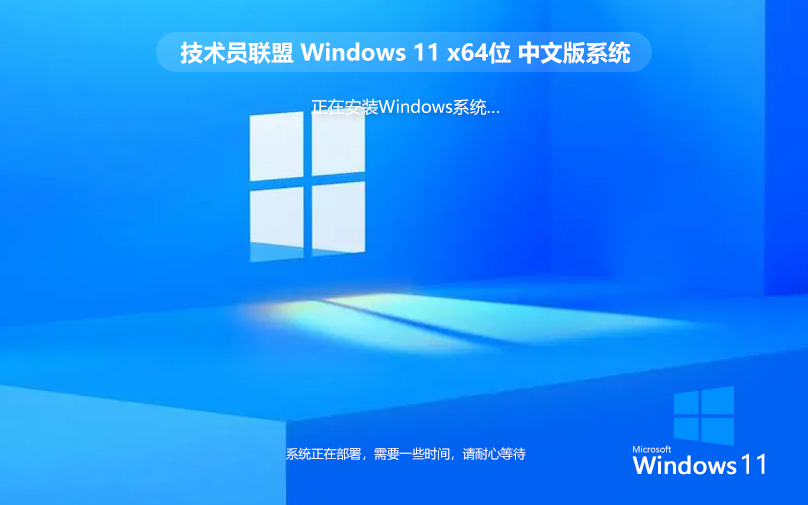 技術(shù)員聯(lián)盟Windows11裝機(jī)版 ghost系統(tǒng) X64位 WIN11專業(yè)版系統(tǒng)下載