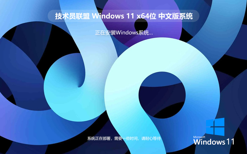 Windows11專(zhuān)業(yè)版 技術(shù)員聯(lián)盟 純凈PE安裝 ghost系統(tǒng) ISO鏡像 X64位下載