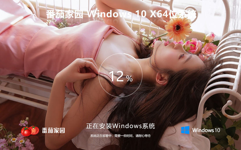 番茄花園win10系統(tǒng) 戴爾筆記本專(zhuān)用系統(tǒng) windows10 64位 iso ghost 系統(tǒng)