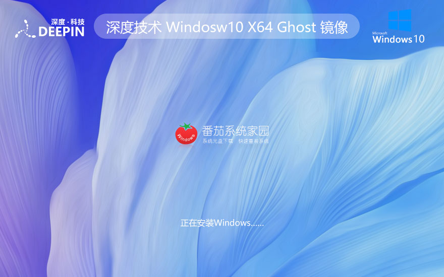 深度技術(shù)windows10下載 64位家庭版數(shù)字激活版 ghost鏡像 ISO v2023