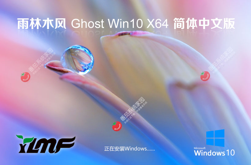 雨林木風Windows10家庭版 ghost鏡像 ISO x64位經典版下載 v2023