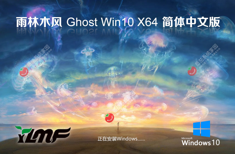 雨林木風(fēng)win10娛樂版 x64位免激活工具 ghost 系統(tǒng)下載