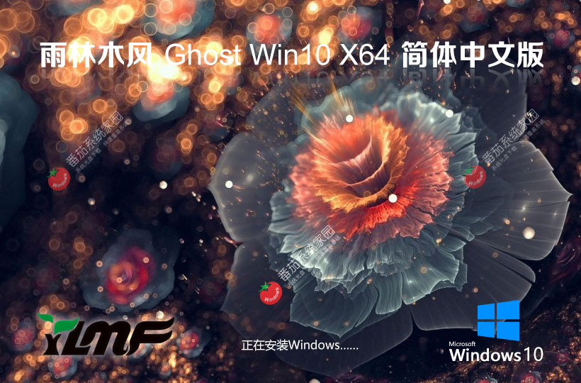 雨林木風win10家庭版 x64位系統(tǒng)下載 永久激活 ghost鏡像