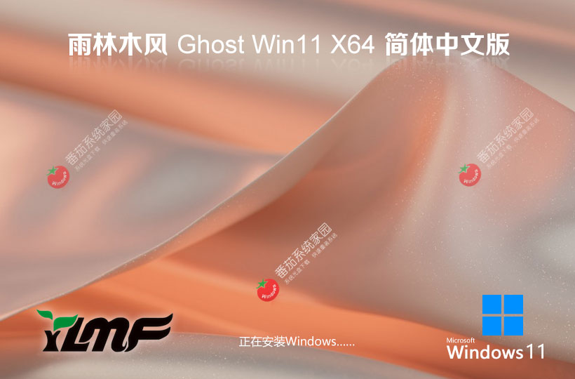 windows11游戲專用系統(tǒng) 雨林木風x64位下載 GHOST鏡像 免激活工具