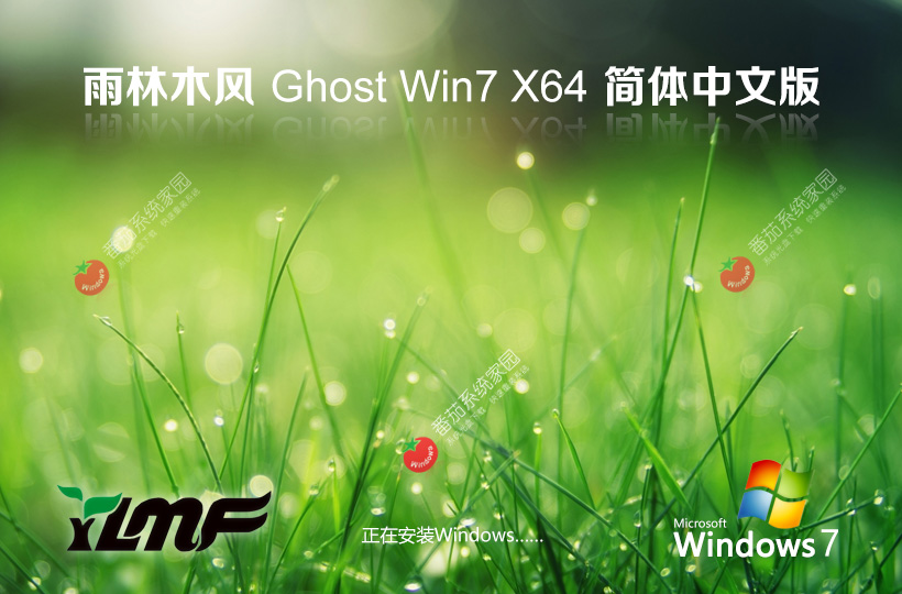 雨林木風(fēng)win7下載 64位純凈版 永久免費 官網(wǎng)鏡像下載 v2023