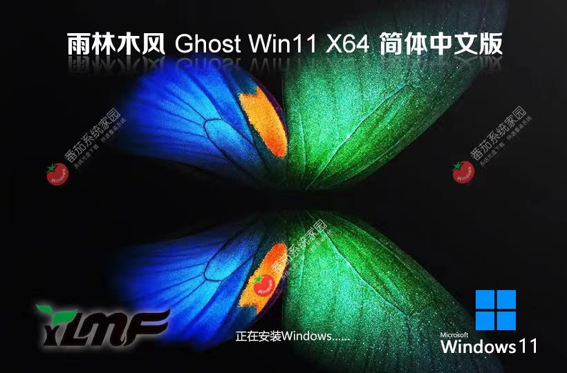 Windows11游戲版下載 雨林木風智能安裝版 ISO鏡像 筆記本專用下載