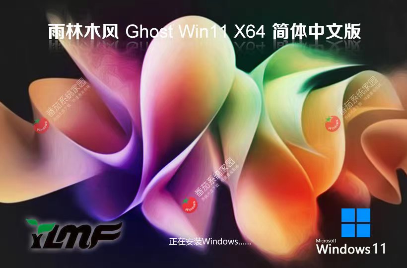 Windows11最新專業(yè)版 雨林木風x64位下載 無病毒大神版 Ghost鏡像下載