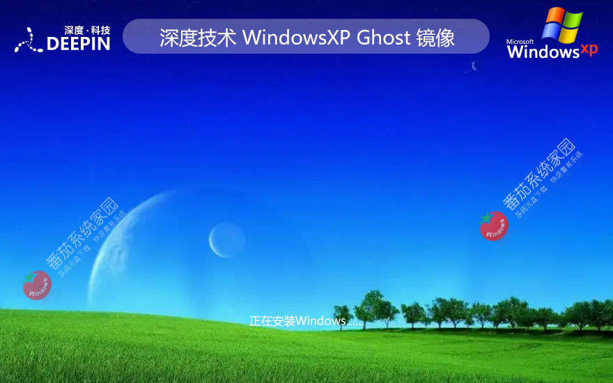 深度技術(shù)x86游戲版 winXP專業(yè)電競(jìng)版下載 ghost鏡像 免激活工具下載