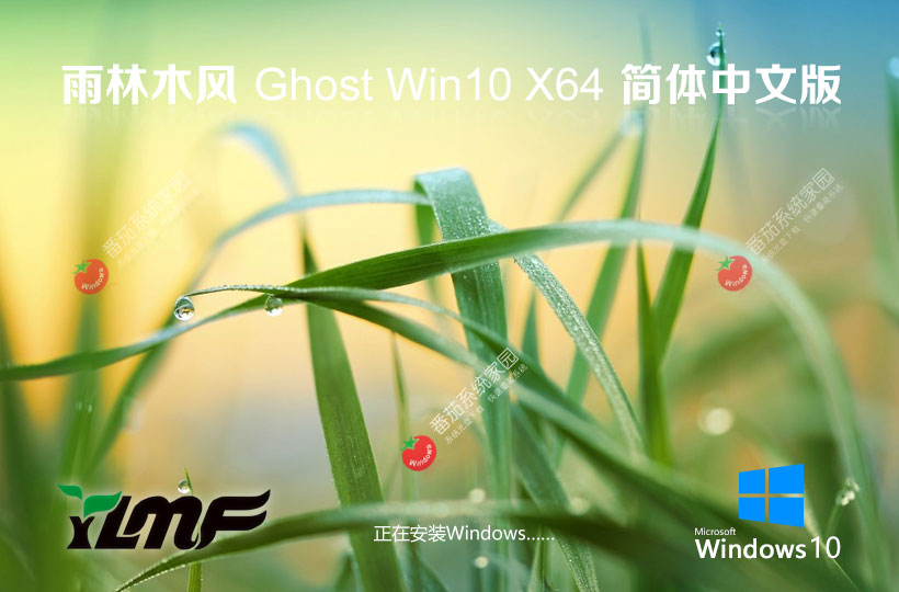 Windows10家庭版下載 雨林木風(fēng)x64位系統(tǒng) 自動(dòng)激活密鑰 GHOST鏡像下載