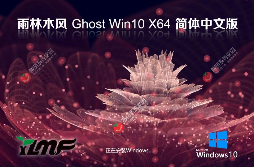 雨林木風win10游戲?qū)Ｓ孟到y(tǒng) x64位大師版下載 免激活密鑰 GHOST鏡像下載