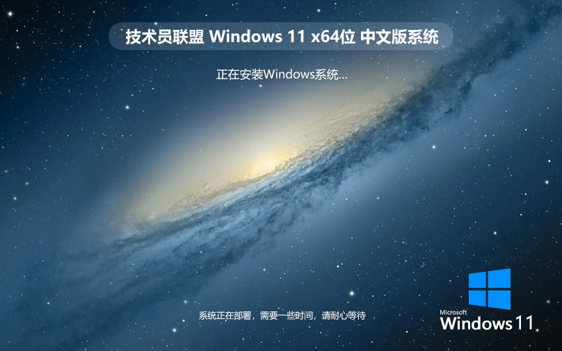 Windows11純凈版下載 技術(shù)員聯(lián)盟64位預(yù)裝版 ghost鏡像下載 免激活工具