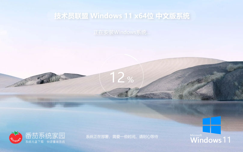 技術(shù)員聯(lián)盟win11家庭版 x64位增強(qiáng)版下載 無需激活碼 iso鏡像下載