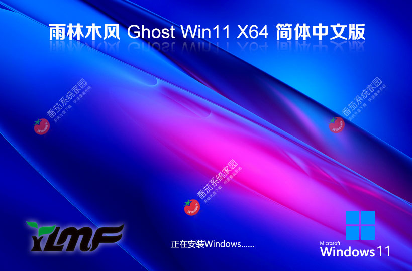 雨林木風(fēng) Ghost Win11 X64 正式裝機(jī)版