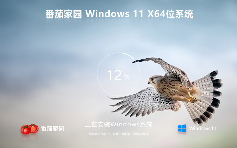 【為辦公設(shè)計(jì)】Windows 11 23H2 64位 企業(yè)版