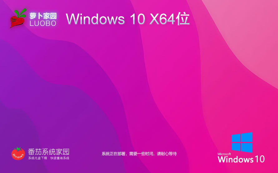 【巔峰性能，為專業(yè)而生】Windows10 22H2 64位 專業(yè)工作站版