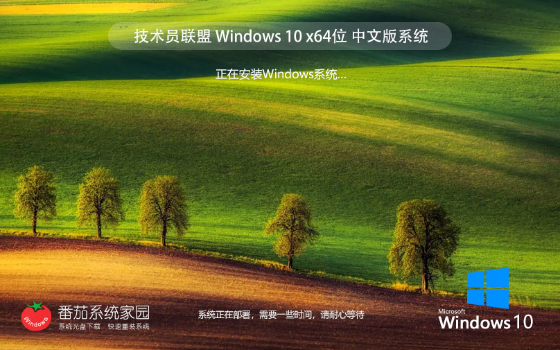 【輕量級(jí)系統(tǒng)】Windows10 64位 22H2 低占用專(zhuān)業(yè)精簡(jiǎn)版